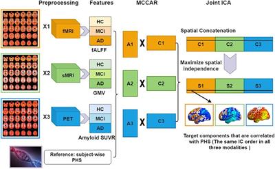 Polygenic Hazard Score Associated Multimodal Brain Networks Along the Alzheimer’s Disease Continuum